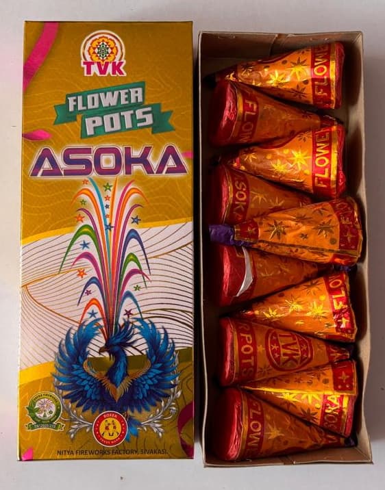 Flower Pots Asoka